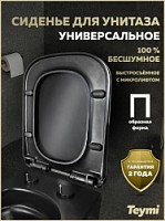 Превью фото Сиденье для унитаза Teymi S40311 (совместимо T40311) быстросъемное дюропласт микролифт № 1