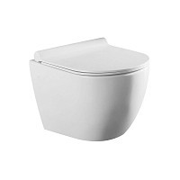 Превью фото Унитаз подвесной Azario Geno 49x36x36 безободковый с ультратонким сиденьем микролифт AZ2196D № 1