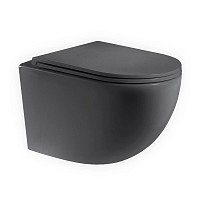 Превью фото Унитаз подвесной Lina H безободковый, сиденье микролифт, темно-серый матовый T40101MDG № 1
