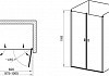 Душевая дверь в нишу Ravak CSDL2-100 Transparent, профиль блестящий № 4