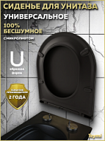 Превью фото Сиденье для унитаза Teymi S40111 (совместимо T40111) быстросъемное, дюропласт, микролифт, чёрное матовое № 1