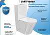 Унитаз напольный безободковый с быстросъемным сиденьем микролифт Teymi Solli T40203 № 2