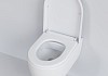 Унитаз подвесной Abner 103T20101R 545x360x330 БЕЛЫЙ матовый безободковый с толстой крышкой № 5