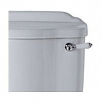 Превью фото Ручка смыва для бачка унитаза Ideal Standard Reflections E4755AA № 1