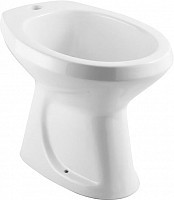 Превью фото Биде напольное Rosa Люкс № 1