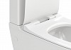 Унитаз напольный безободковый с быстросъемным сиденьем микролифт Teymi Ellie T40801 № 10