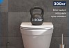 Комплект инсталляция Teymi Rapid SL с кнопкой GROHE золото глянец + унитаз Vitra Pro F17939 № 9