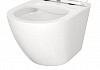 Комплект 3 в 1 инсталляция Grohe Rapid SL + Унитаз подвесной Teymi Lina S + кнопка хром F17141i № 9
