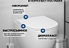 Комплект инсталляция Teymi Rapid SL с кнопкой GROHE оружейная сталь + унитаз ТОРНАДО Lina Vortex 3 пок F17500 № 3