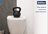 Комплект инсталляция Teymi Rapid SL с кнопкой GROHE черная + унитаз ТОРНАДО Lina Pro Vortex F17822 № 10