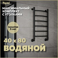 Превью фото Полотенцесушитель водяной Teymi Lina П6 40х80, наружная резьба 1", в макс. комплектации К3, черный матовый W80152 № 1