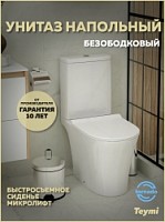Превью фото Унитаз напольный безободковый торнадо Teymi Ritta Pro Vortex сиденье микролифт T40811 № 1