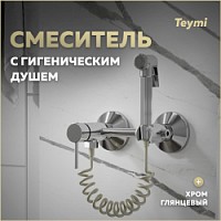 Превью фото Смеситель с гигиеническим душем хром Teymi Martta T10268 № 1